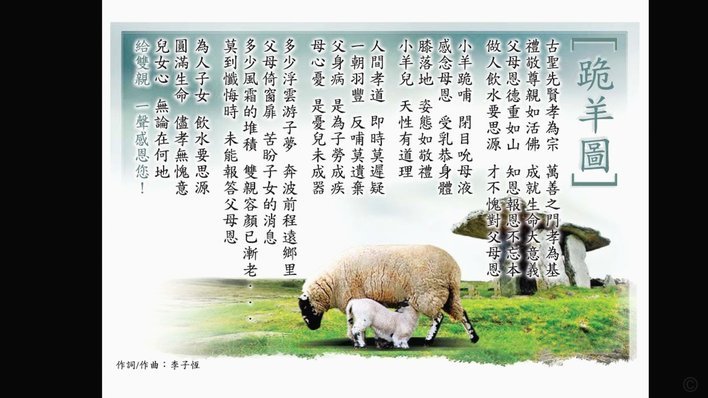 羊小咩：身份验证的严苛背后
