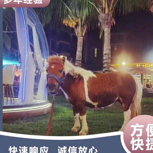 鹿优选商城商家盈利模式