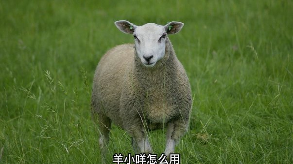 羊小咩平台怎么没卖黄金了