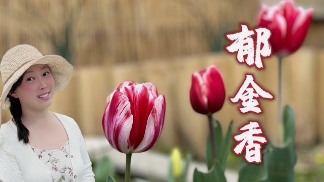 花呗怎么套安全