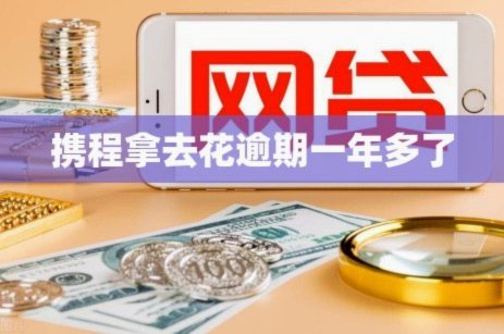 如何取消携程拿去花