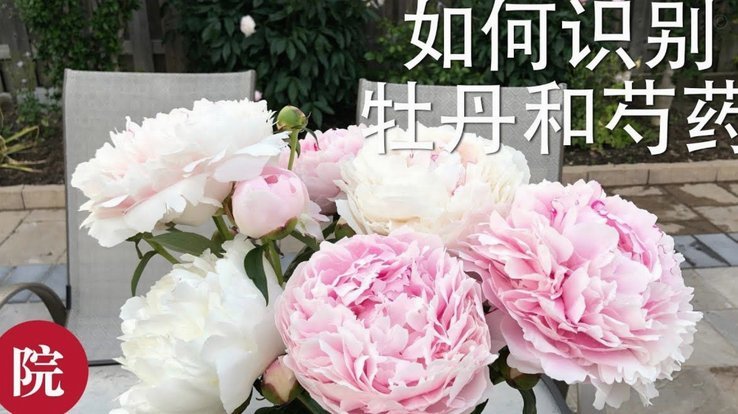 携程花卡套现：风险与应对
