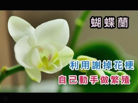 套现花呗的手续费 现金能退吗