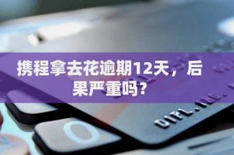 携程拿去花怎么查消费记录
