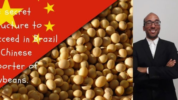 巴西时间改革：全球化下的挑战与未来