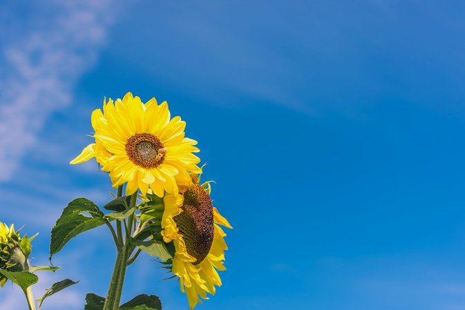 花呗套现：一场金融陷阱？