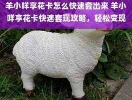 羊小咩：多重结构下的灵活交易策略解析