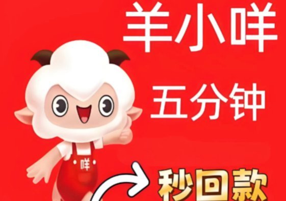 羊小咩怎么协商分24期