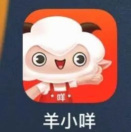 羊小咩怎么协商分24期