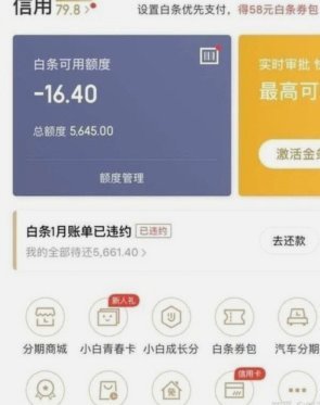 花呗白条商家能查到额度吗