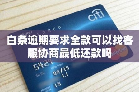 白条平台客服电话查询指南：如何联系官方客服？