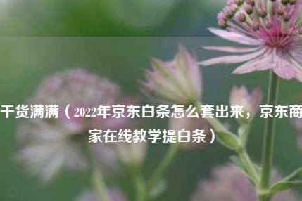 花呗如何安全取现避免风险