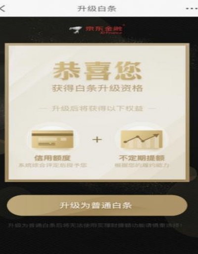 2025白条临时额度