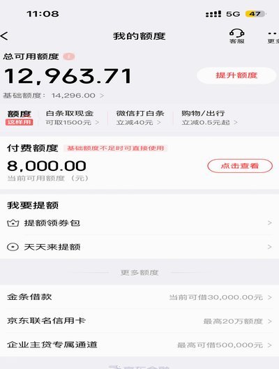 白条付费额度怎么套 取现金