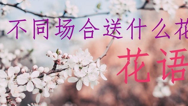 花呗取现详解