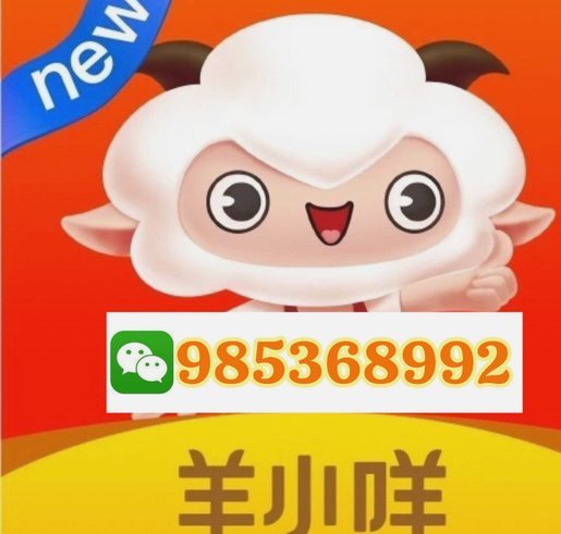羊小咩额度解锁秘籍