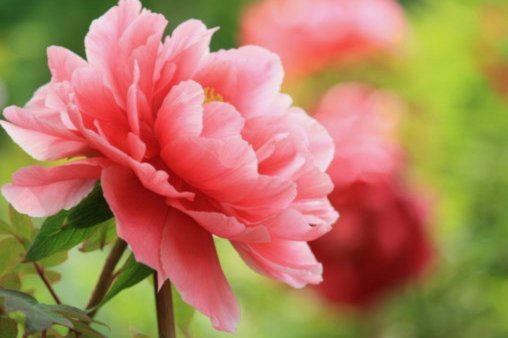 花呗套现真能行？这些风险你必须知道
