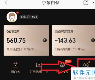 白条取出额度商家 平台能看见吗