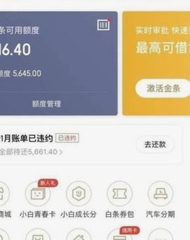 白条取出额度商家 平台能看见吗