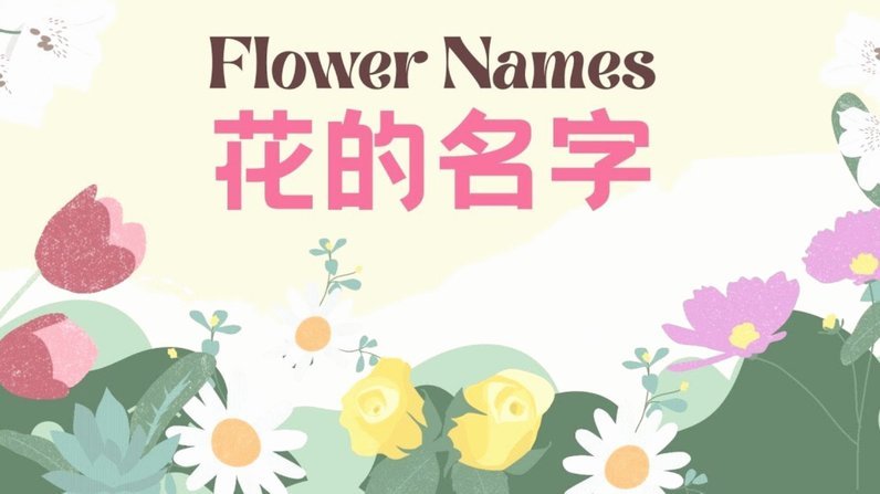 花呗合法可靠吗？看这里了解详情