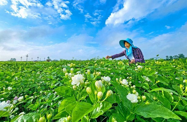 花呗提现怎么办