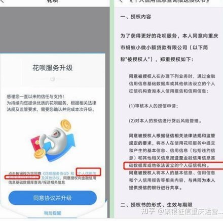 支付宝花呗注册地在哪里
