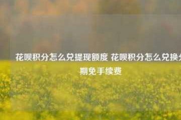 花呗分期额度安全用法三大策略解析