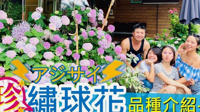 套现花呗合法吗？深度解析其背后的法律风险与监管压力