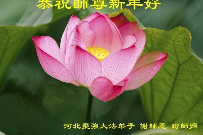 套现花呗合法吗 出现问题